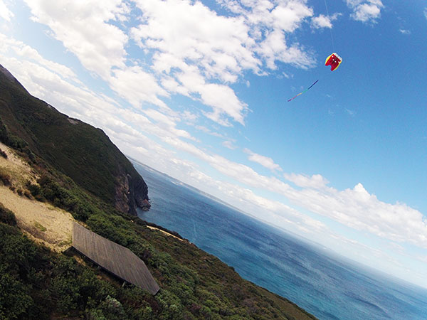 kite in the sky above Shelley Beach Lookout