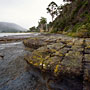 loaf formations at the Tessellated Pavement