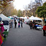 Salamanca Markets