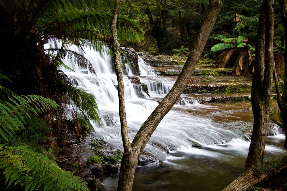 Second Cascade @ Liffey Falls