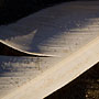 sand grains on a feather