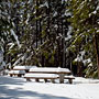 snowy picnic table