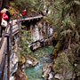 boardwalk along the canyon