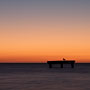 seagull silhouette at sunset