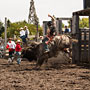bull riding action at the rodeo