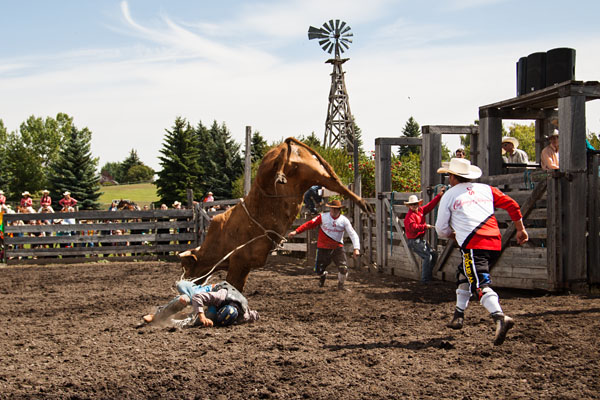 bull riding action at the rodeo