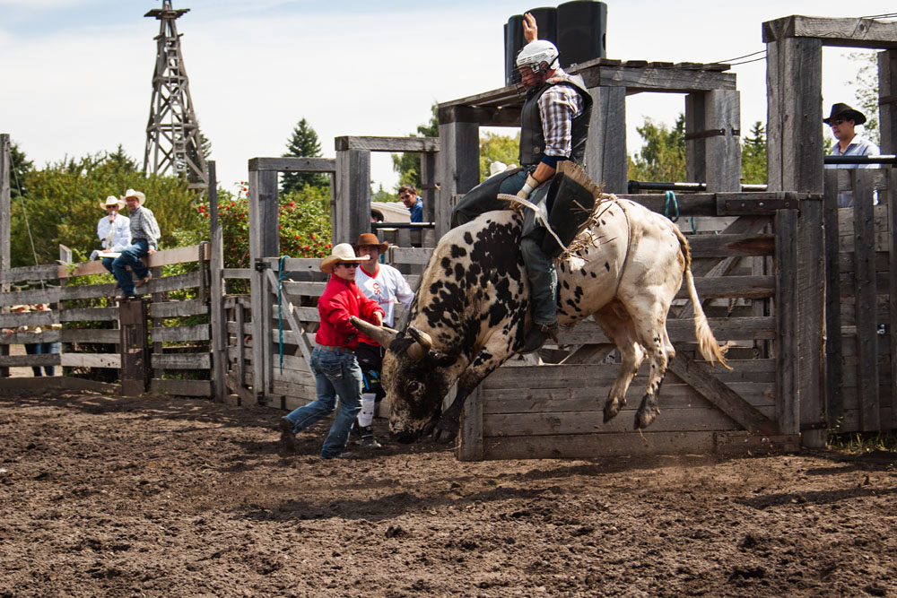 bull riding action at the rodeo