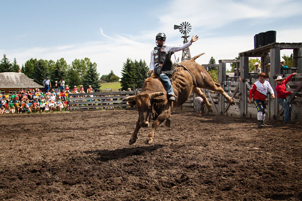 bull riding action at the rodeo
