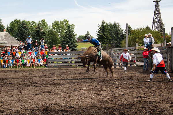 bull riding action at the rodeo