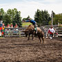 bull riding action at the rodeo