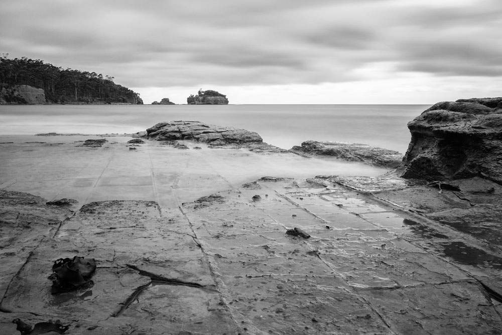 Tessellated Pavement